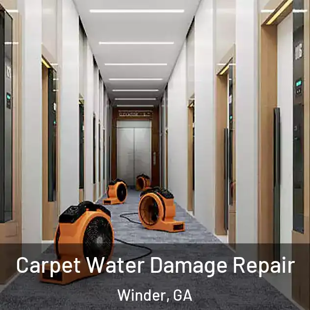  Carpet Water Damage Repair Winder, GA