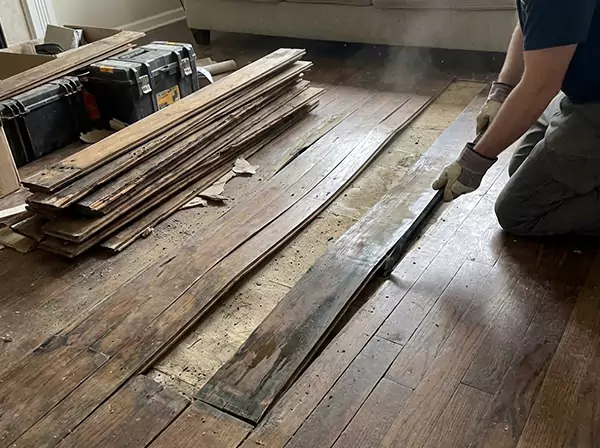 Water Damage Drying in Winder