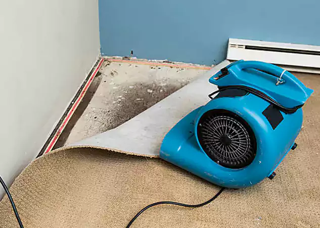Your Water Damage Experts in Winder, GA