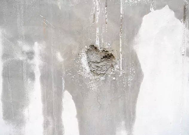 Your Mold Mitigation Solutions Partner in Winder, GA