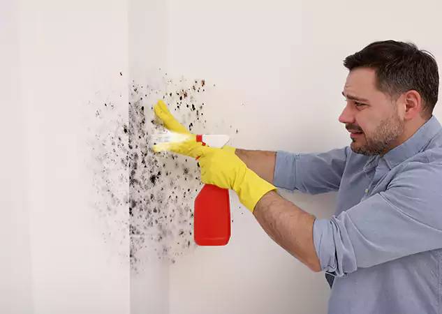 Your Water Mold Fire Restoration Partner in Winder, GA