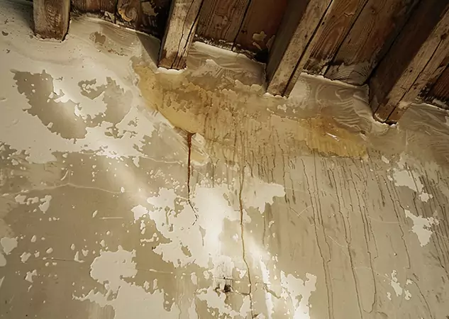 Your Trusted Restoration Company in Winder, GA