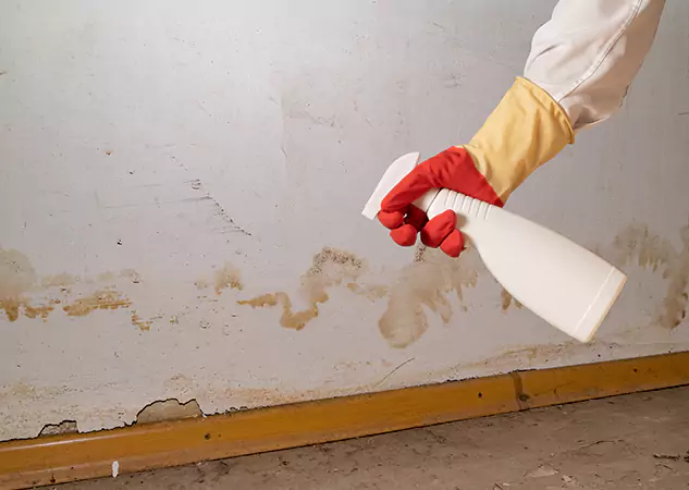 Your Water Restoration and Mold Remediation Specialists in Winder, GA