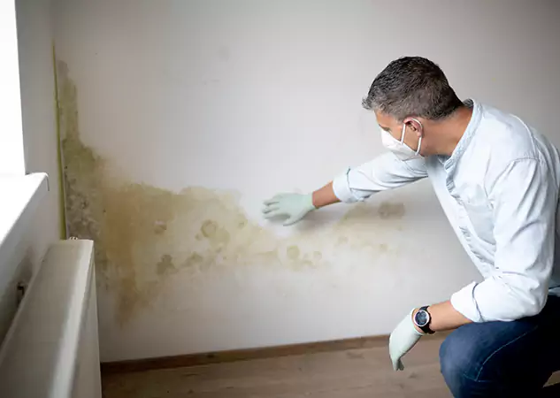 Reach Our Remediation Team Before Damage Grows in Winder, GA!