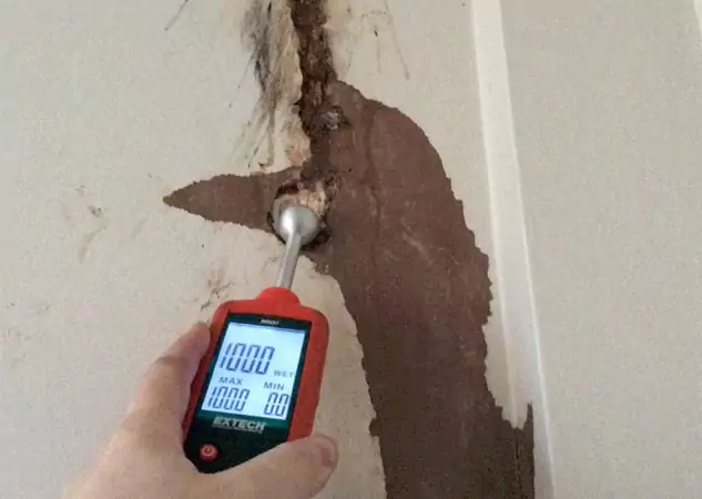 Your Water Damage Assessment Partner in Winder, GA