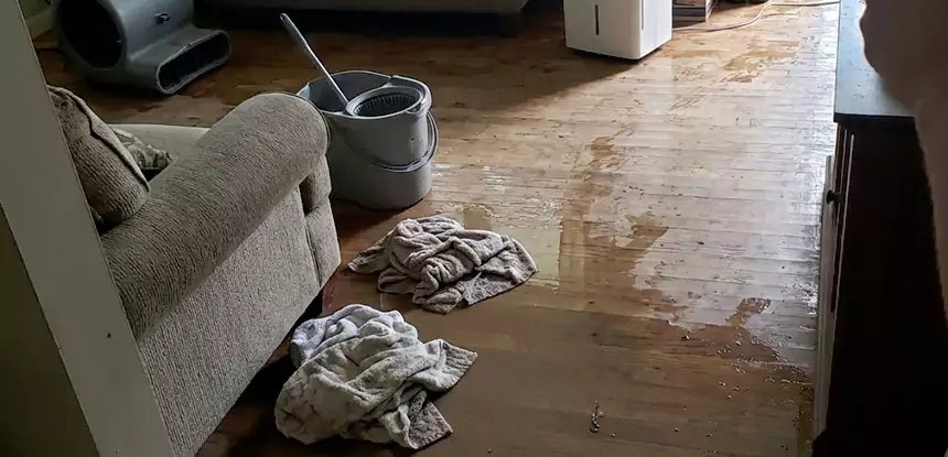 Professional Basement Water Remediation Services in Winder, GA