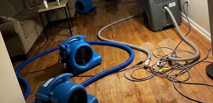 Basement Flood Restoration Services in Winder