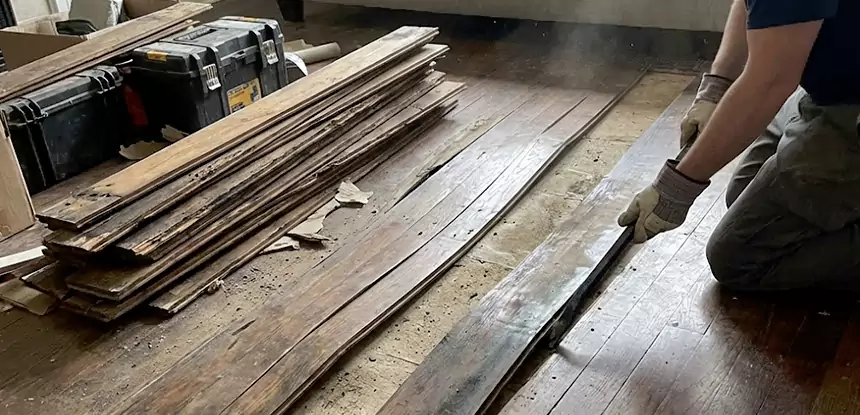 Wood Rot and Fungus Repair in Winder
