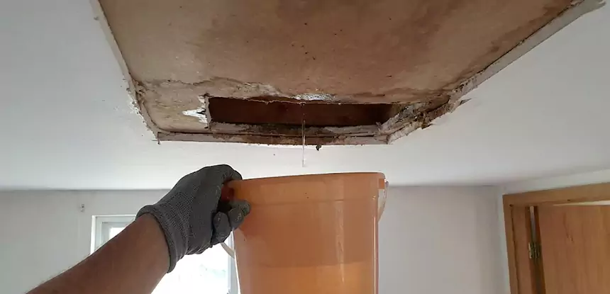 Ceiling Mold Repair Winder