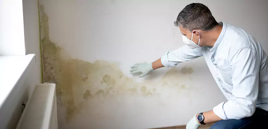 Mold and Water Damage Repair in Winder