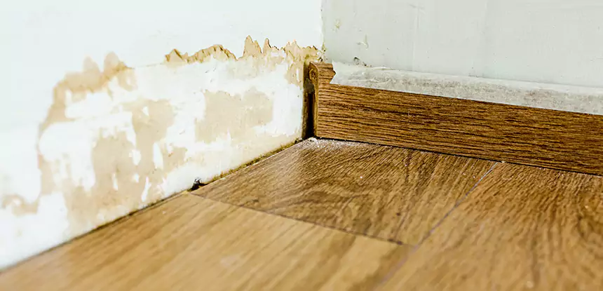 Professional Fix Water Damaged Wood Services in Winder, GA