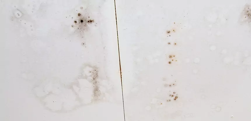 Professional Water Stain Repair Services in Winder, GA