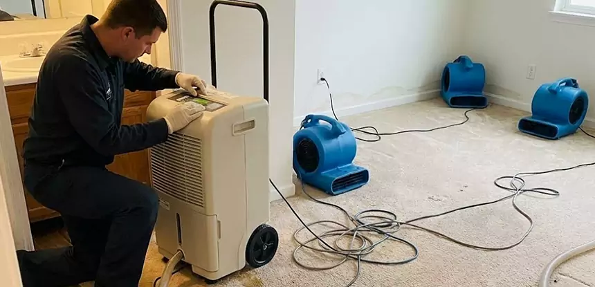 Professional Wet Carpet Removal Services in Winder, GA