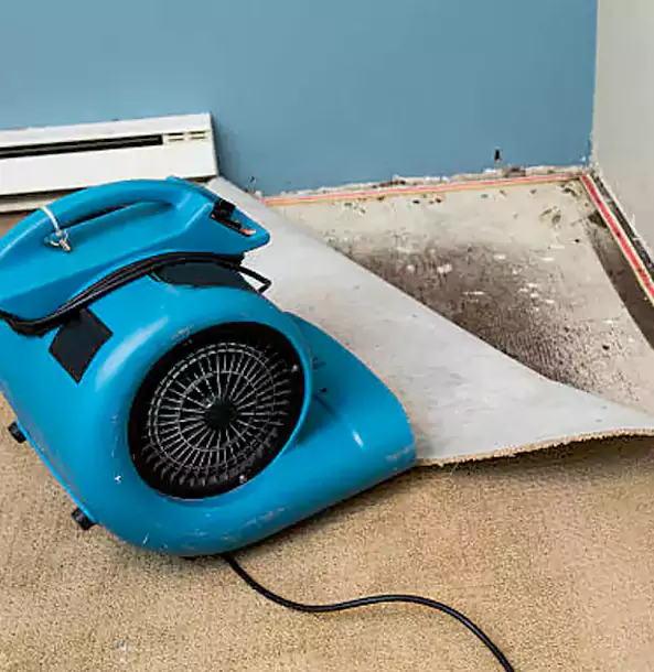 Why Winder Trusts Winder Restoration Pro for Carpet Flood Recovery?