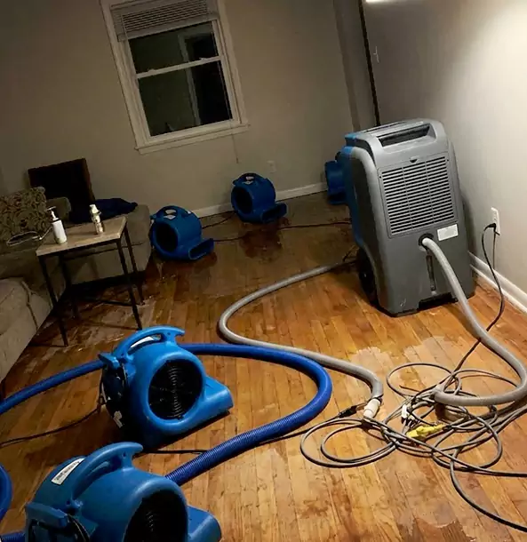 Why Winder Calls Winder Restoration Pro First for Emergency Restoration?