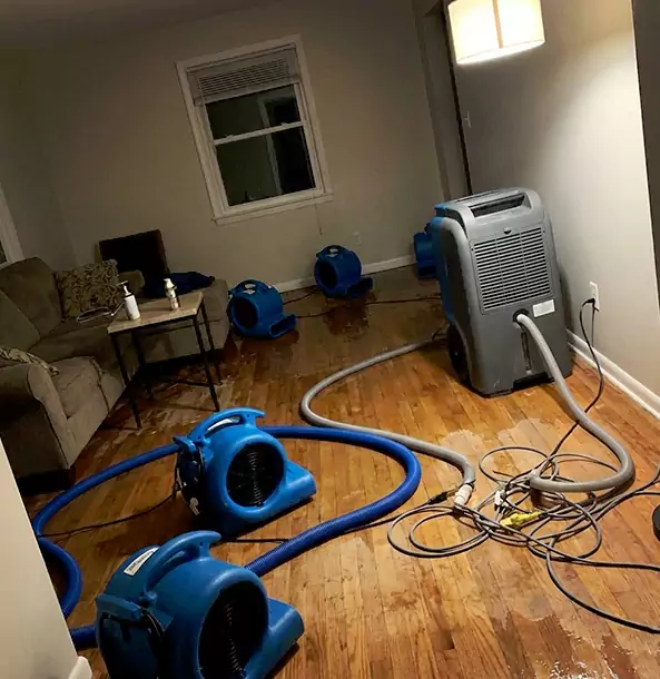 Why Winder Property Owners Rely on Winder Restoration Pro for Remediation?