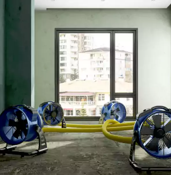 Why Winder Property Owners Trust Winder Restoration Pro for Water Damage Drying?