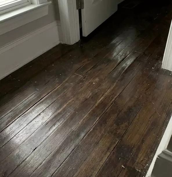 Why Winder Homeowners Trust Winder Restoration Pro to Fix Water Damaged Wood?