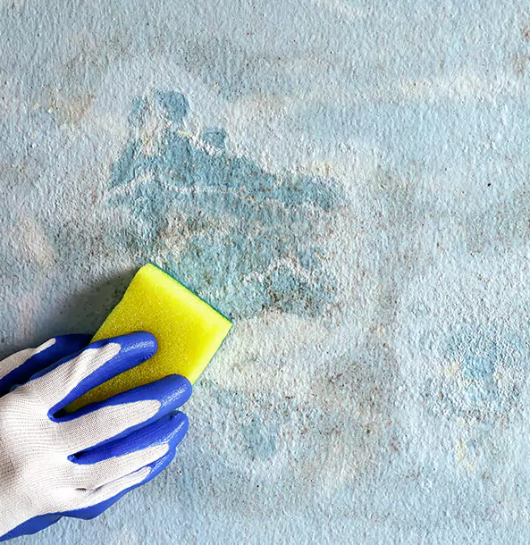 Why Winder Restoration Pro Is the Right Choice in Winder, GA?