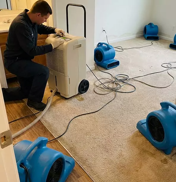 Why Winder Homeowners and Businesses Trust Winder Restoration Pro for Carpet Drying?