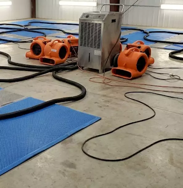 Why Winder Homeowners and Businesses Choose Winder Restoration Pro for Wet Carpet Removal?