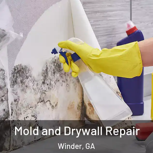  Mold and Drywall Repair Winder, GA