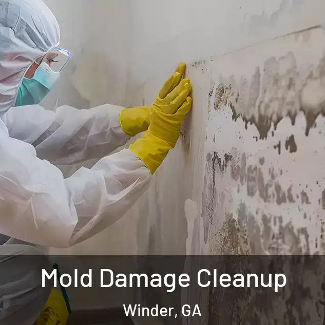  Mold Damage Cleanup Winder, GA