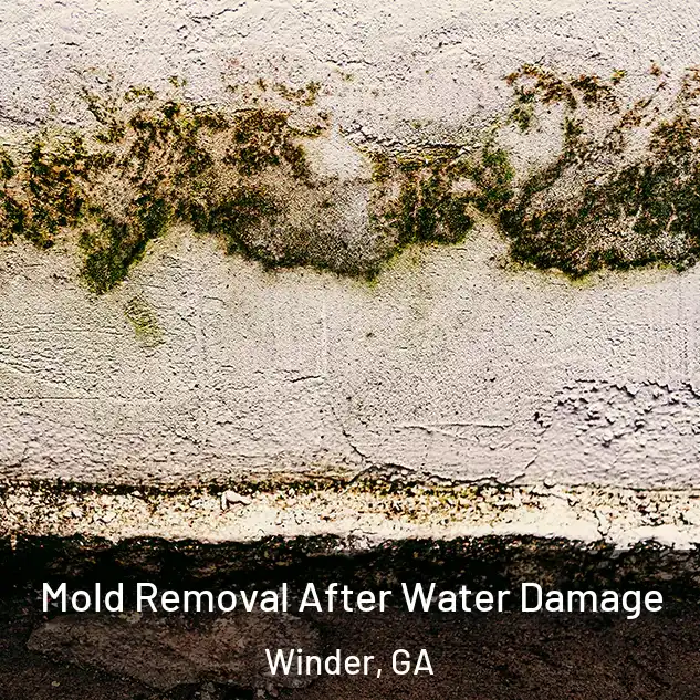  Mold Removal After Water Damage Winder, GA