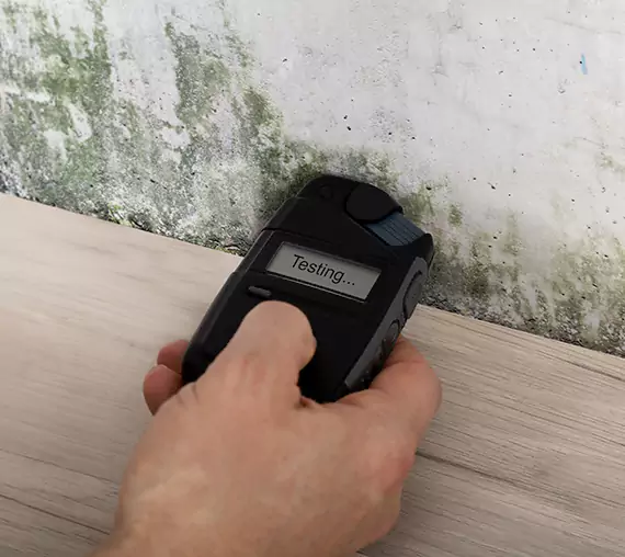Mold Remediation Service Winder