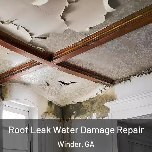  Roof Leak Water Damage Repair Winder, GA