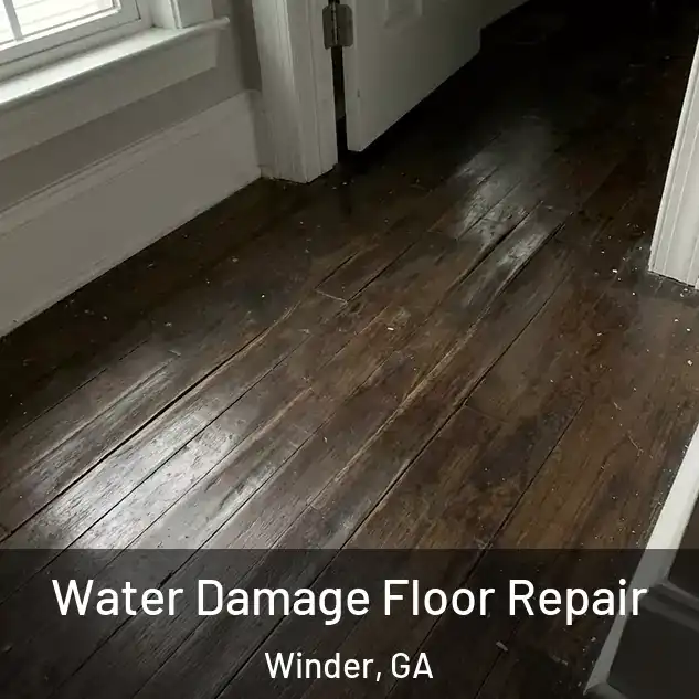  Water Damage Floor Repair Winder, GA