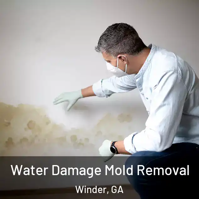  Water Damage Mold Removal Winder, GA