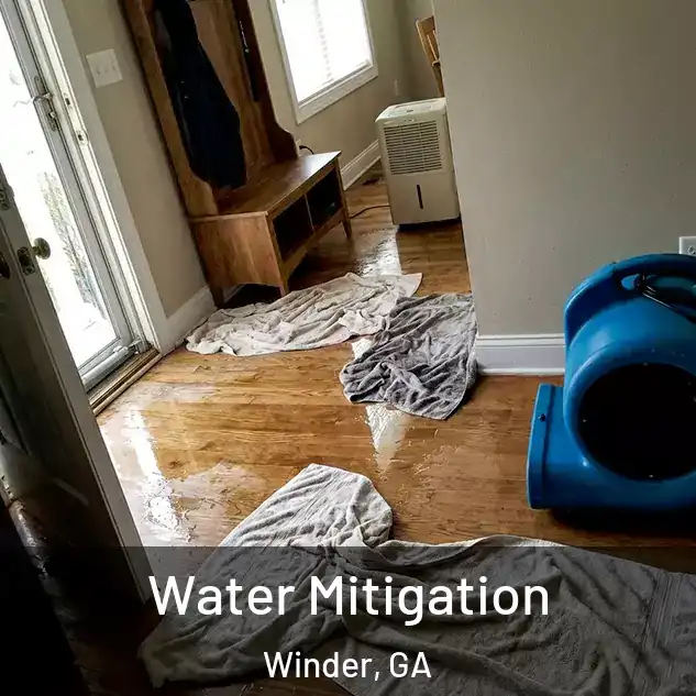  Water Mitigation Winder, GA